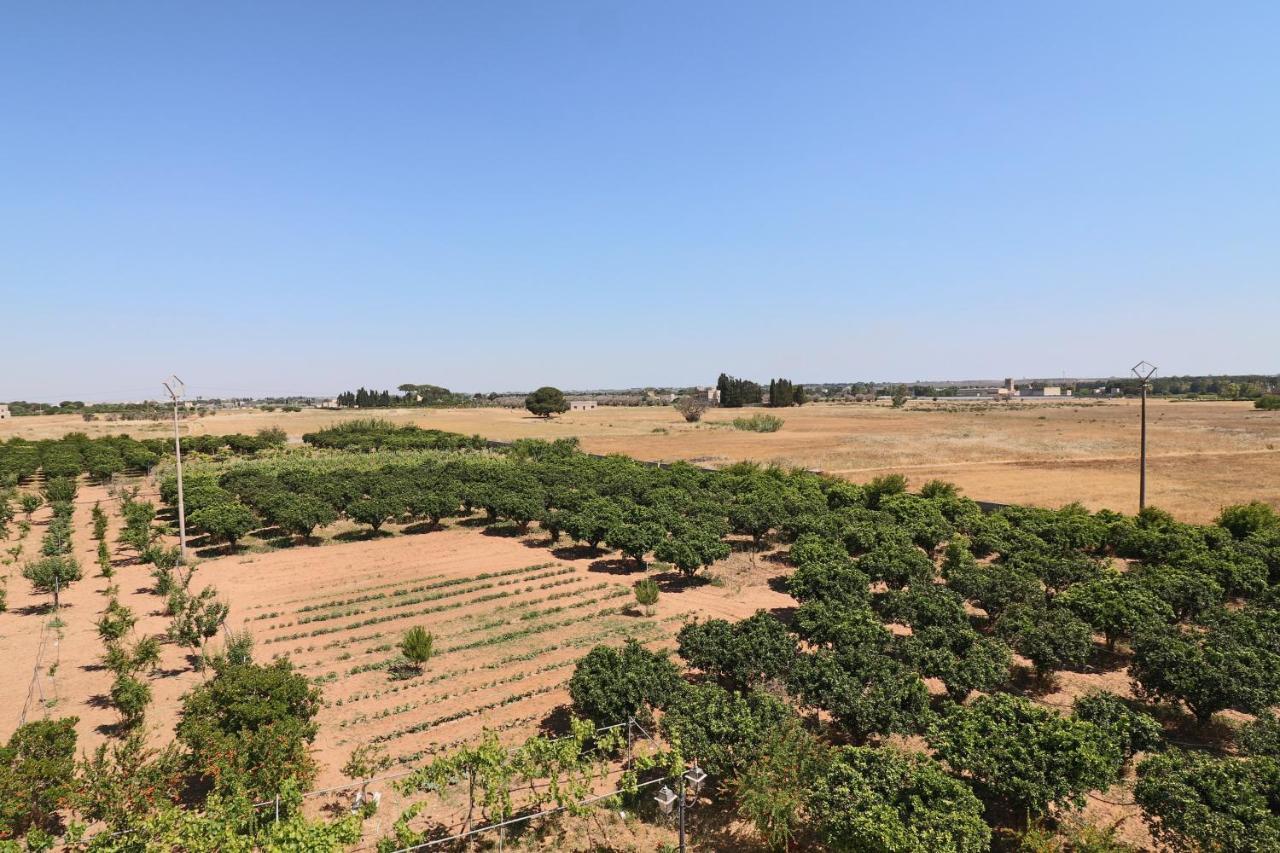 Tenuta Degli Agrumi Carmiano  Kültér fotó